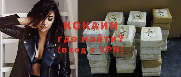 хмурый Осинники
